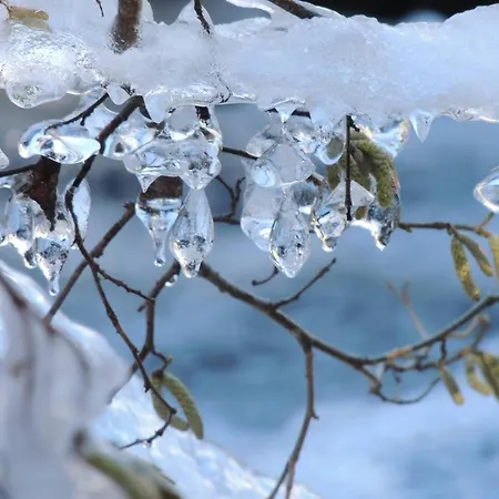 T2bis 4-6 Pers, Proche Centre Thermal Et Centre-ville, - Fr-1-234-335 Lägenhet *